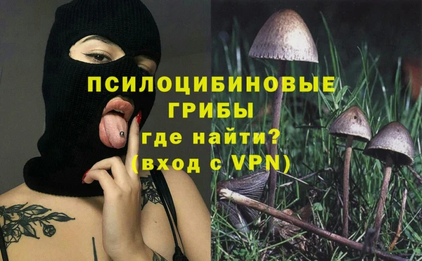 mdpv Армянск