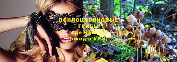 дурь Аркадак