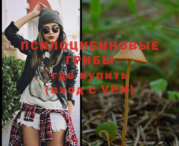 MESCALINE Арсеньев