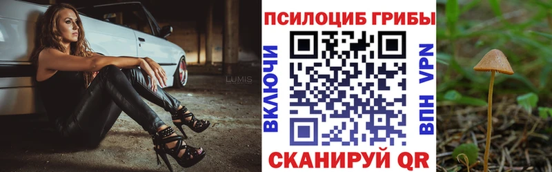 Галлюциногенные грибы Magic Shrooms  Балей 